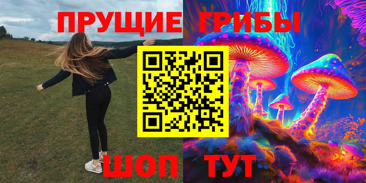 Галлюциногенные грибы прущие грибы  Переславль-Залесский 